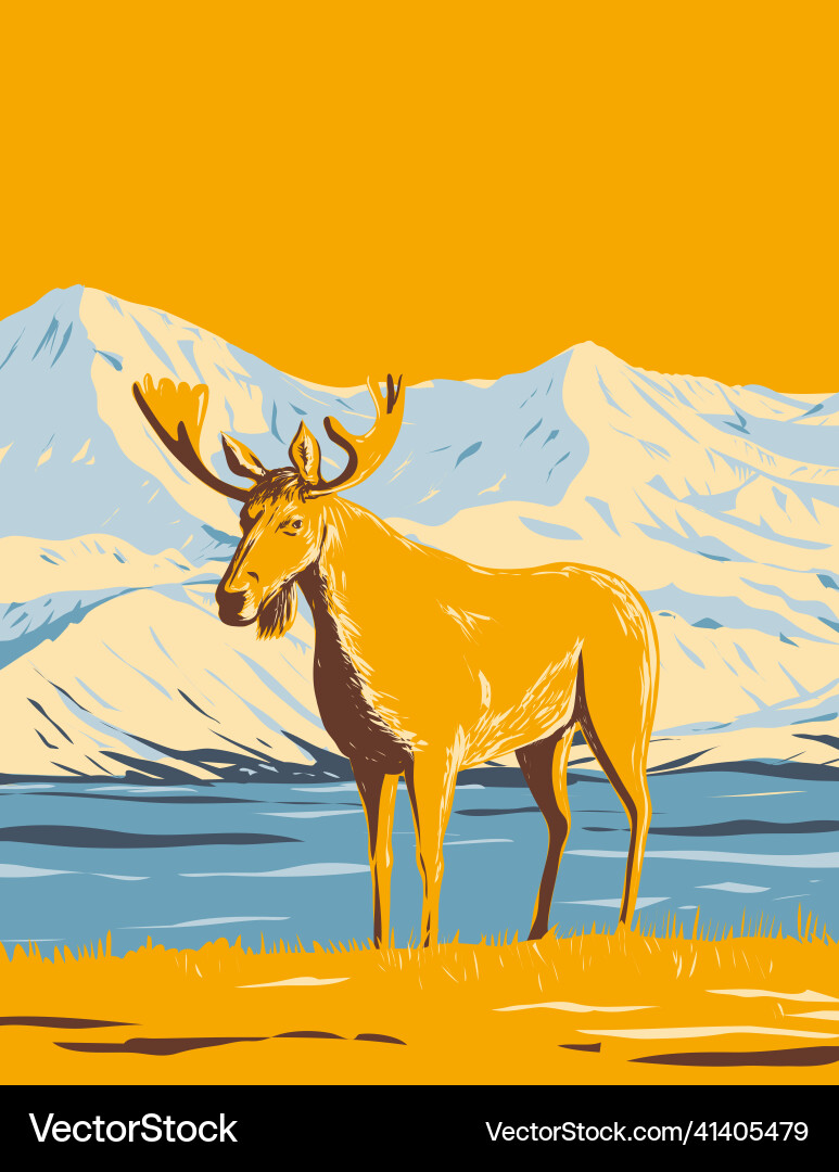 Moose or elk in denali national park and preserve Moose or elk in denali national park and preserve vector image