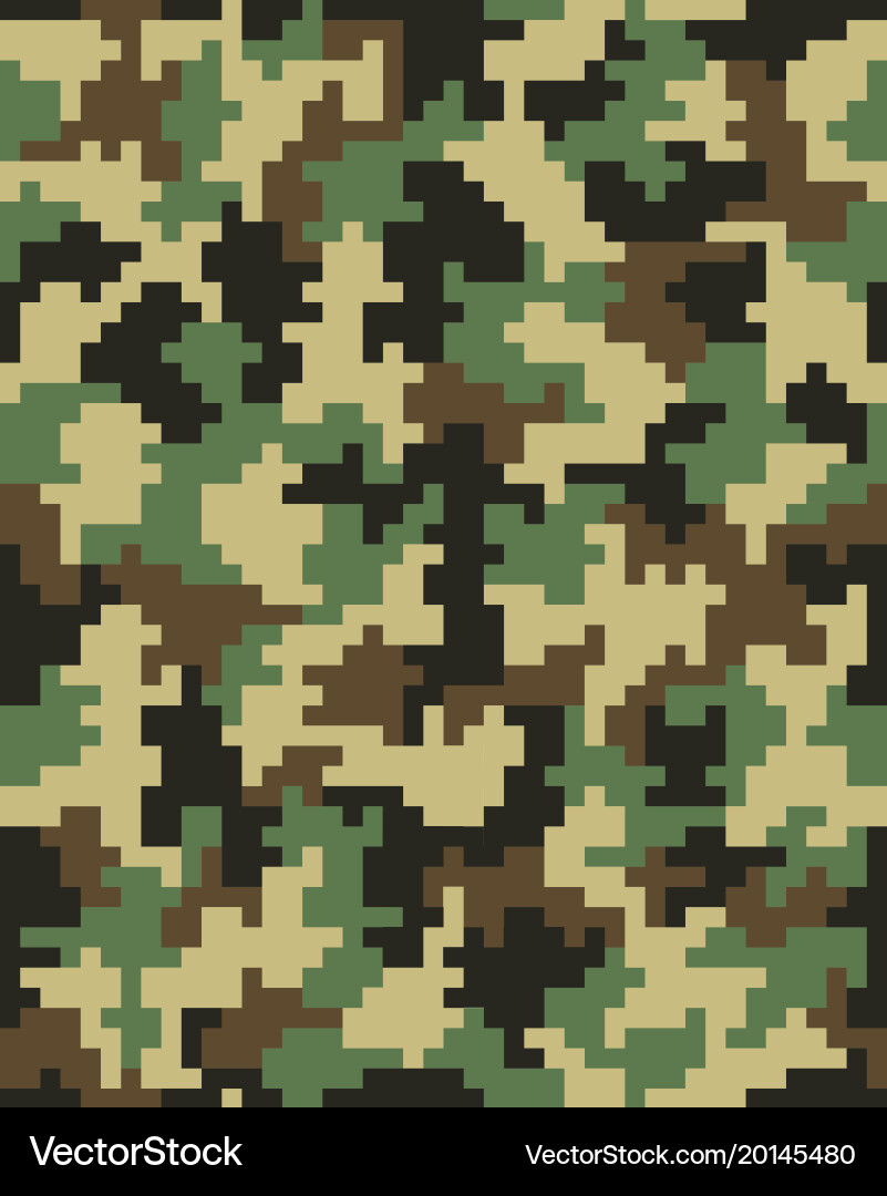 Digital Camouflage Pixel Pattern vector image