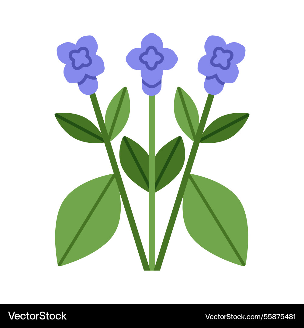 Bluebell flower branches spring blossoms on stem Vector Image