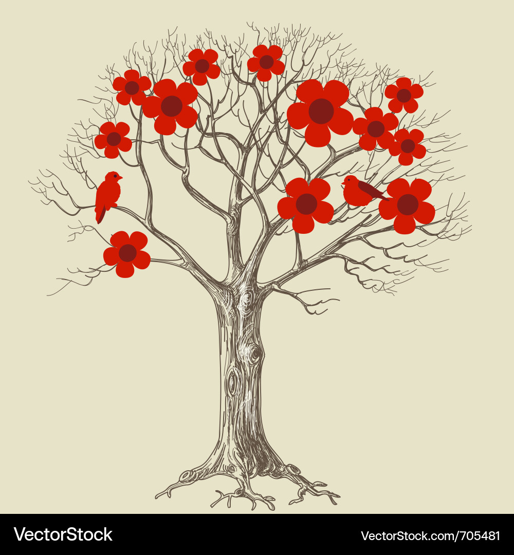 Elegant Tree with Blossoms vector image