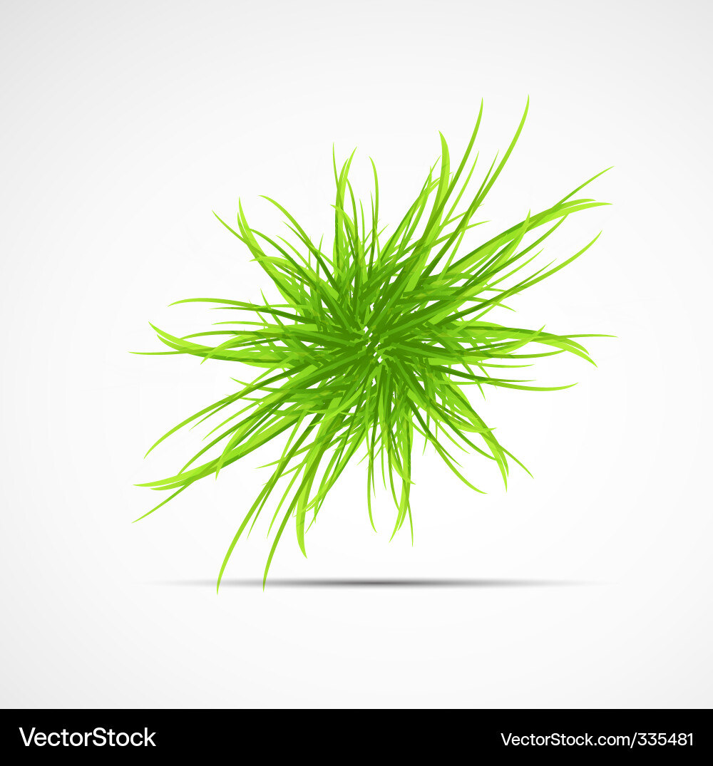 Natural elements background Vector Image
