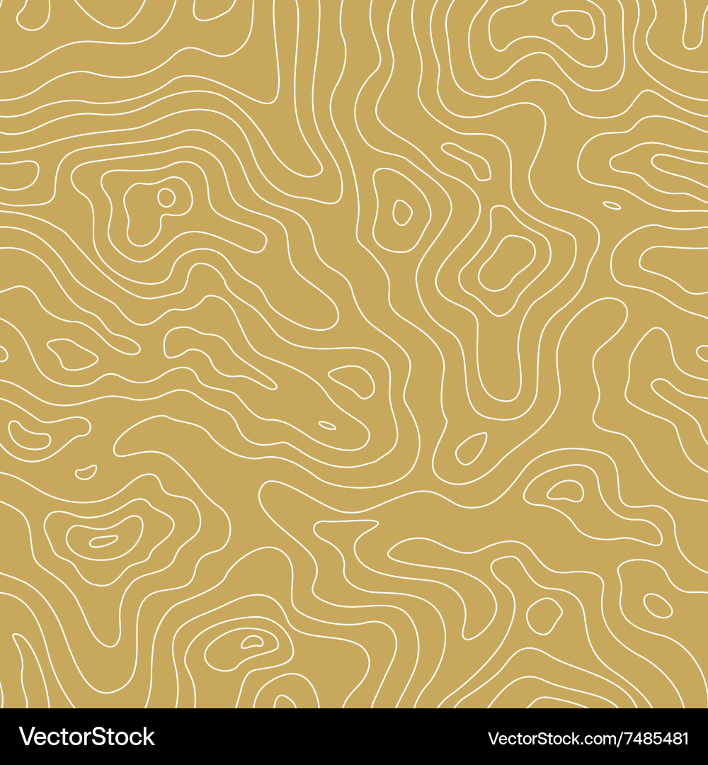 Topographic Line Pattern Vector Image