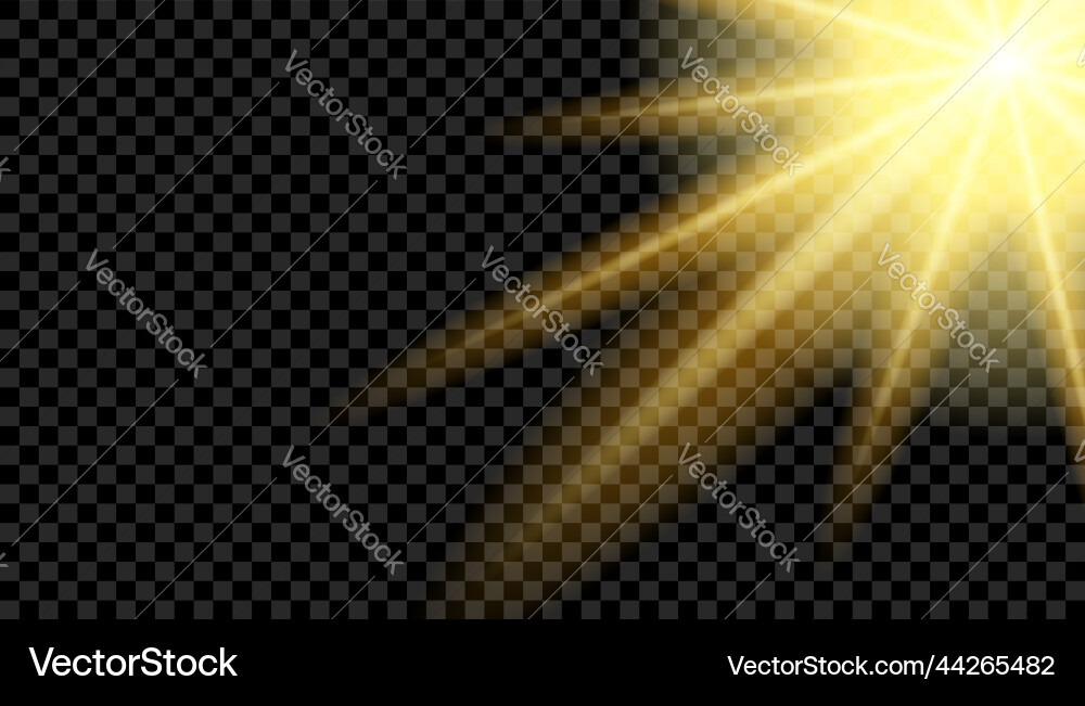 Licht des Sonneneffekts leuchten Sonnenlicht Licht des Sonneneffekts leuchten Sonnenlicht vektorbild
