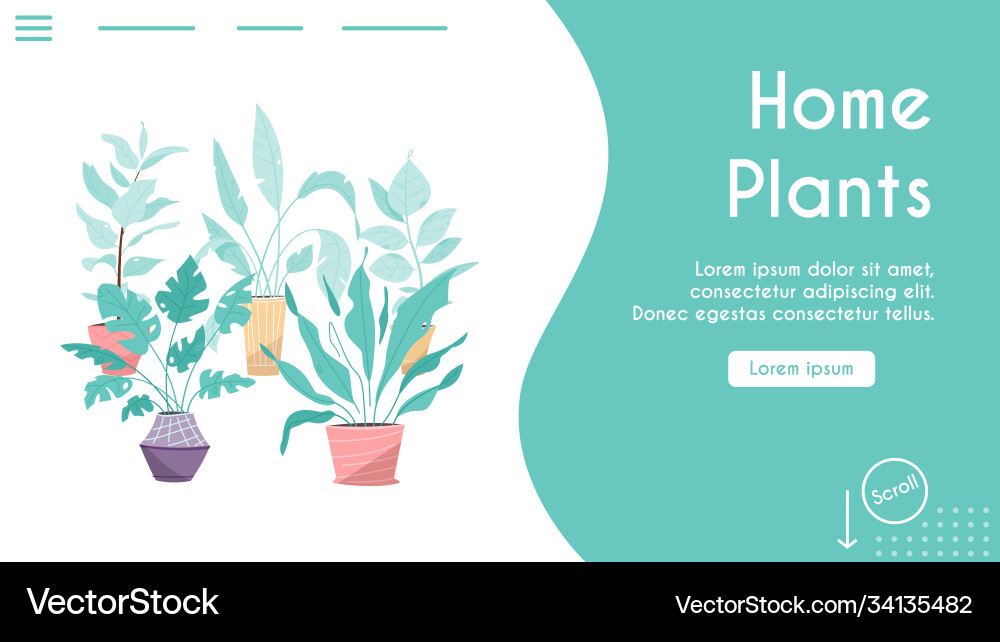 Potting trees flowerpots hanging plants in pots Potting trees flowerpots hanging plants in pots vector image