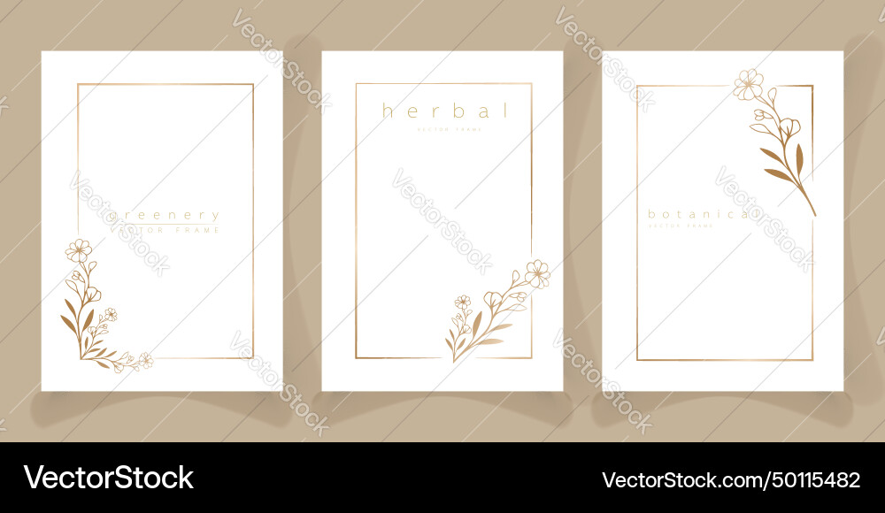 Set of frame templates in minimal linear style Vector Image