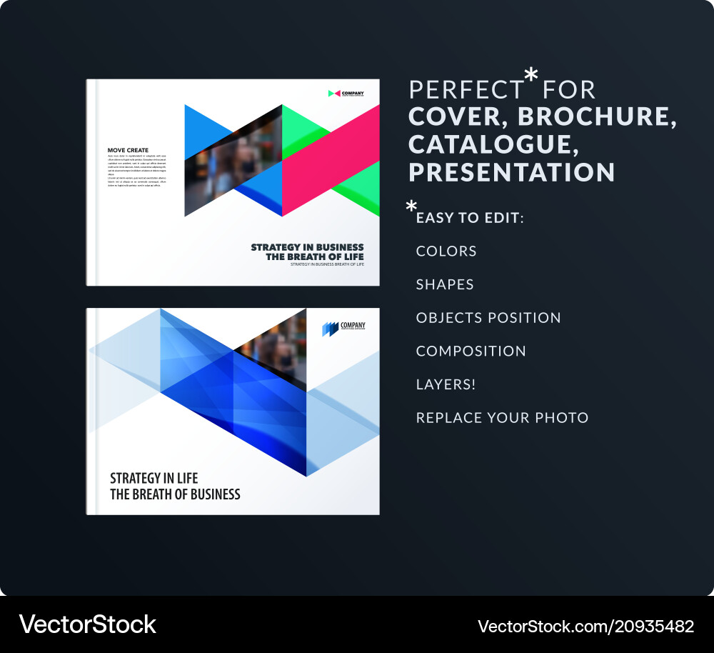 Triangular Presentation Template Vector Image
