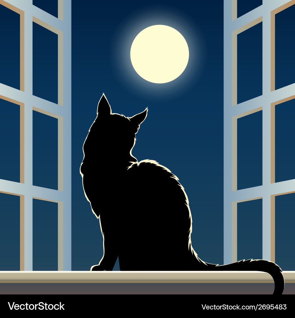 Cat on a Window with Moon vector image