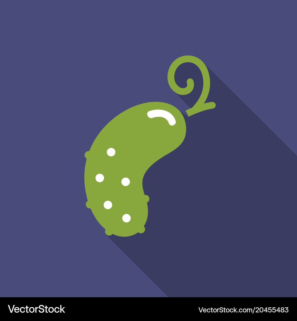 Cucumber flat icon with shadow Vector Image