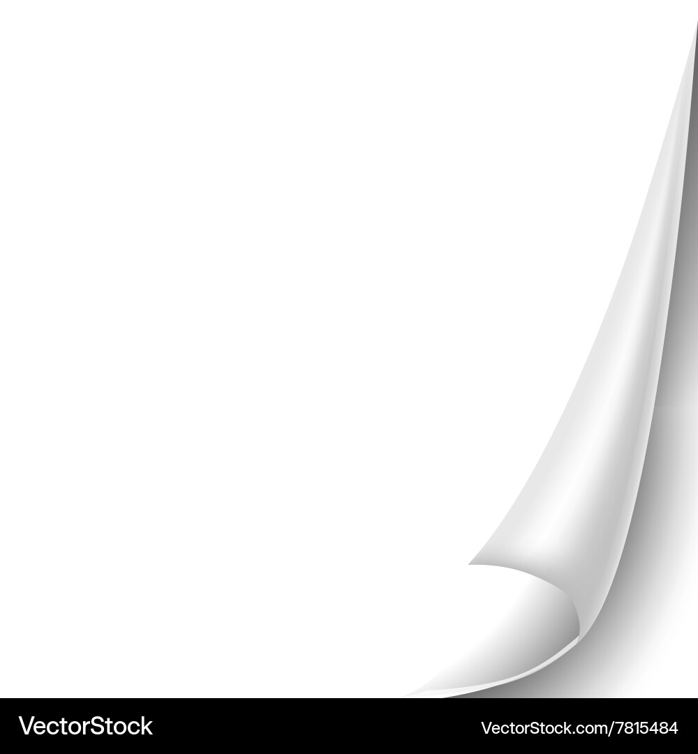 Blank sheet of paper with page curl and shadow vector image