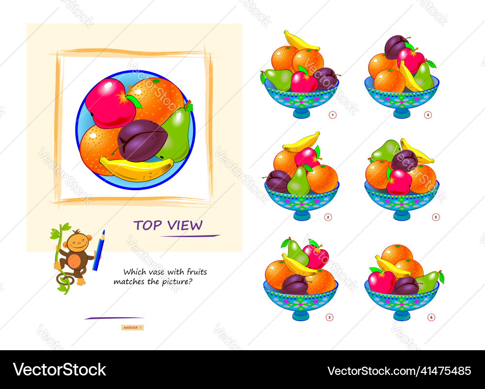Fruit Puzzle - Top View Logic Game vector image