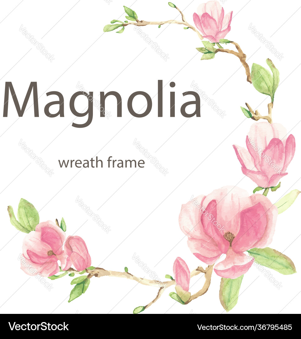 Pink Magnolia Wreath Vector Image