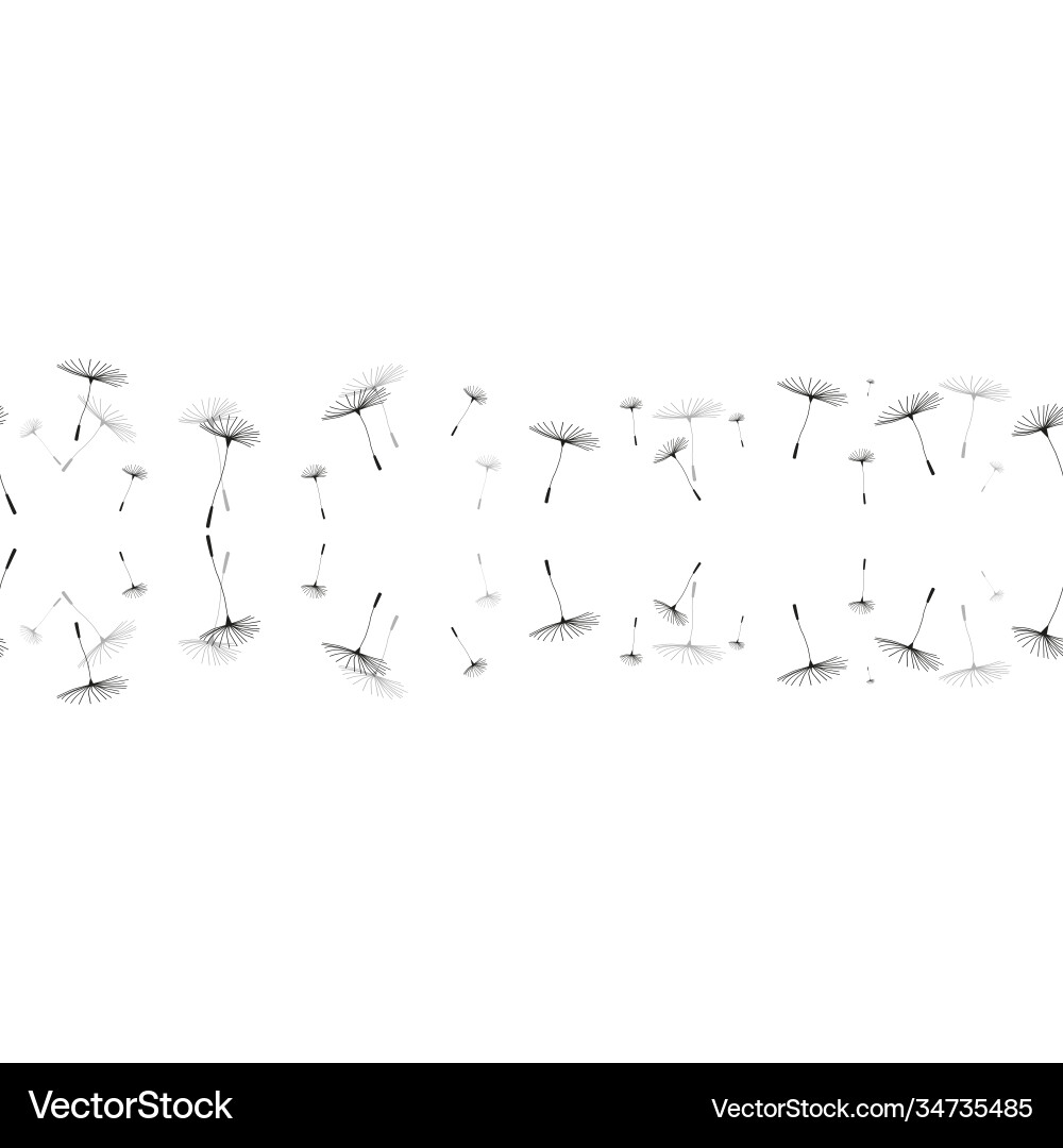 Seamless pattern dandelions isolated Vector Image
