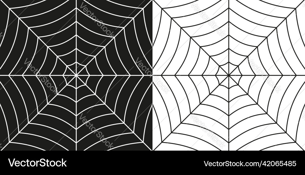 Spider web background cobweb isolated on white vector image
