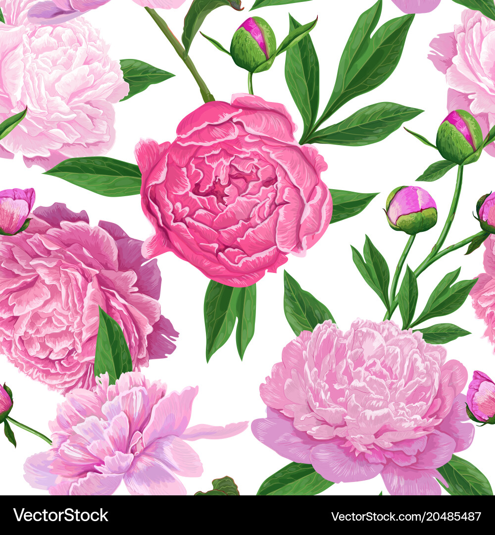 Pink Peony Floral Seamless Pattern Vector Image