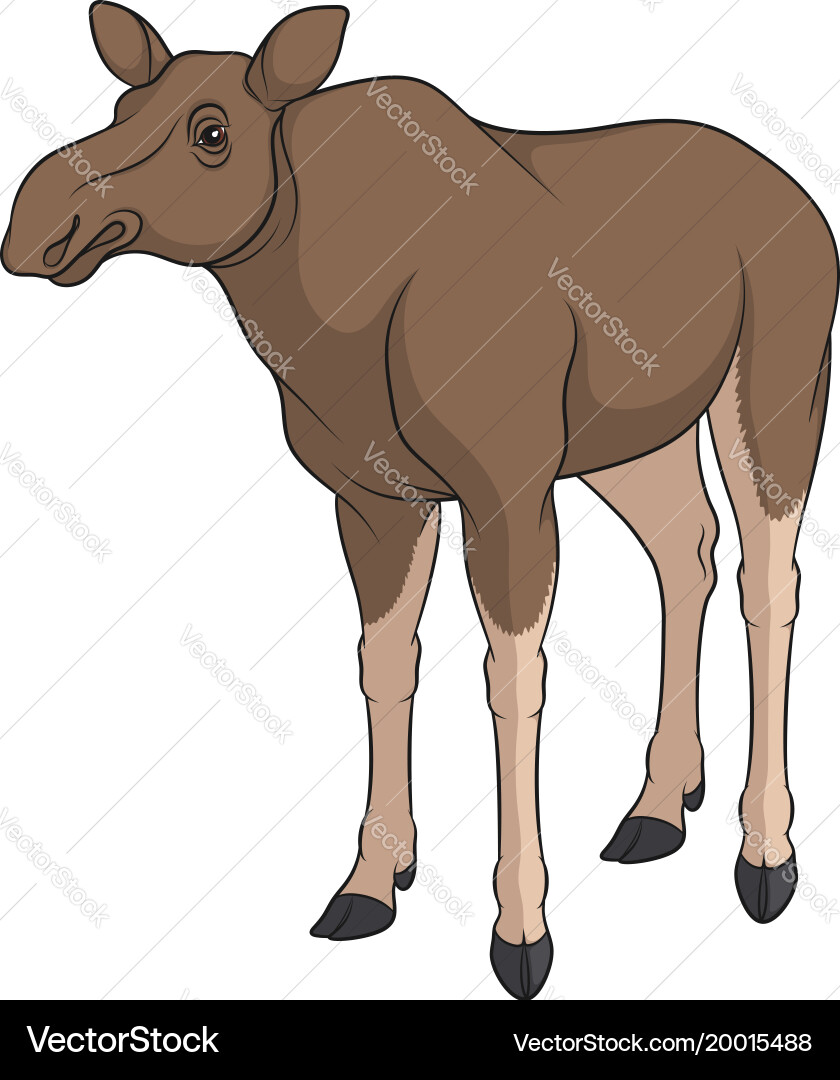 Color image of elk moose isolated object Vector Image