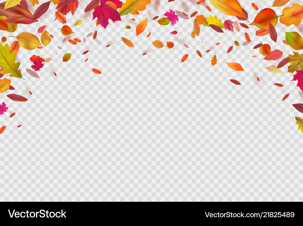 Autumn falling leaves autumnal forest foliage Autumn falling leaves autumnal forest foliage vector image