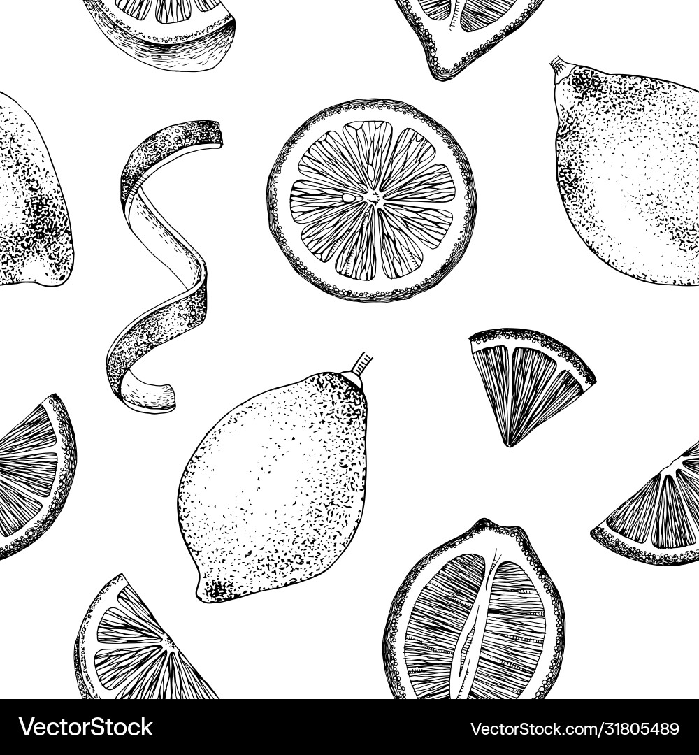 Lemon Slice Pattern vector image