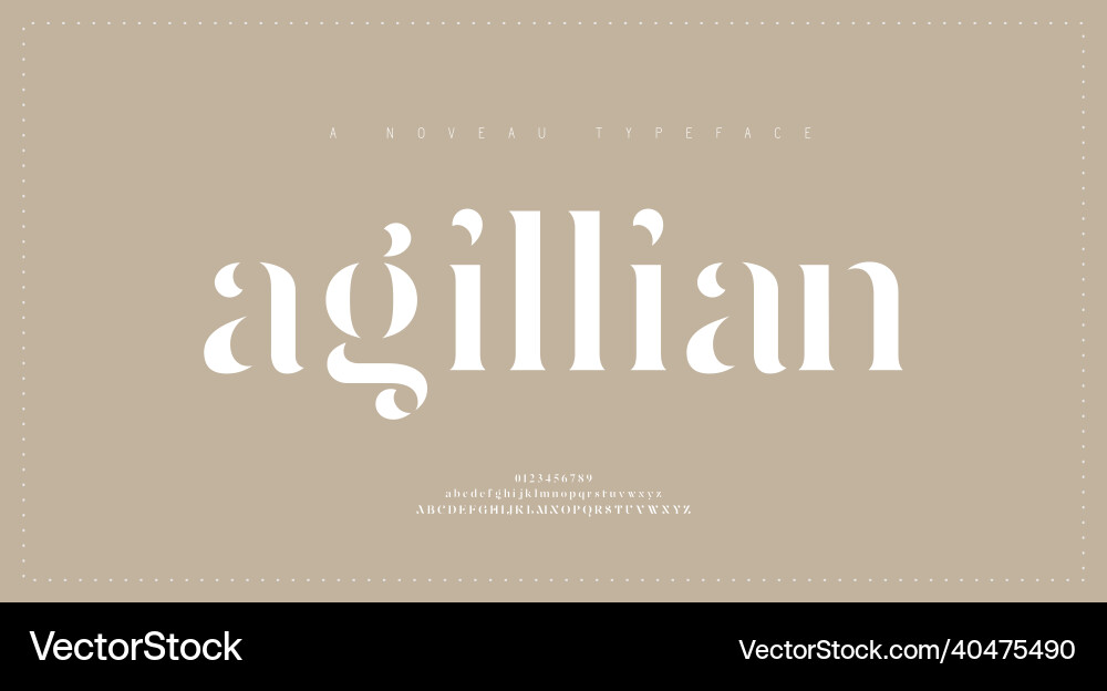 Elegant Serif Alphabet Font Vector Image