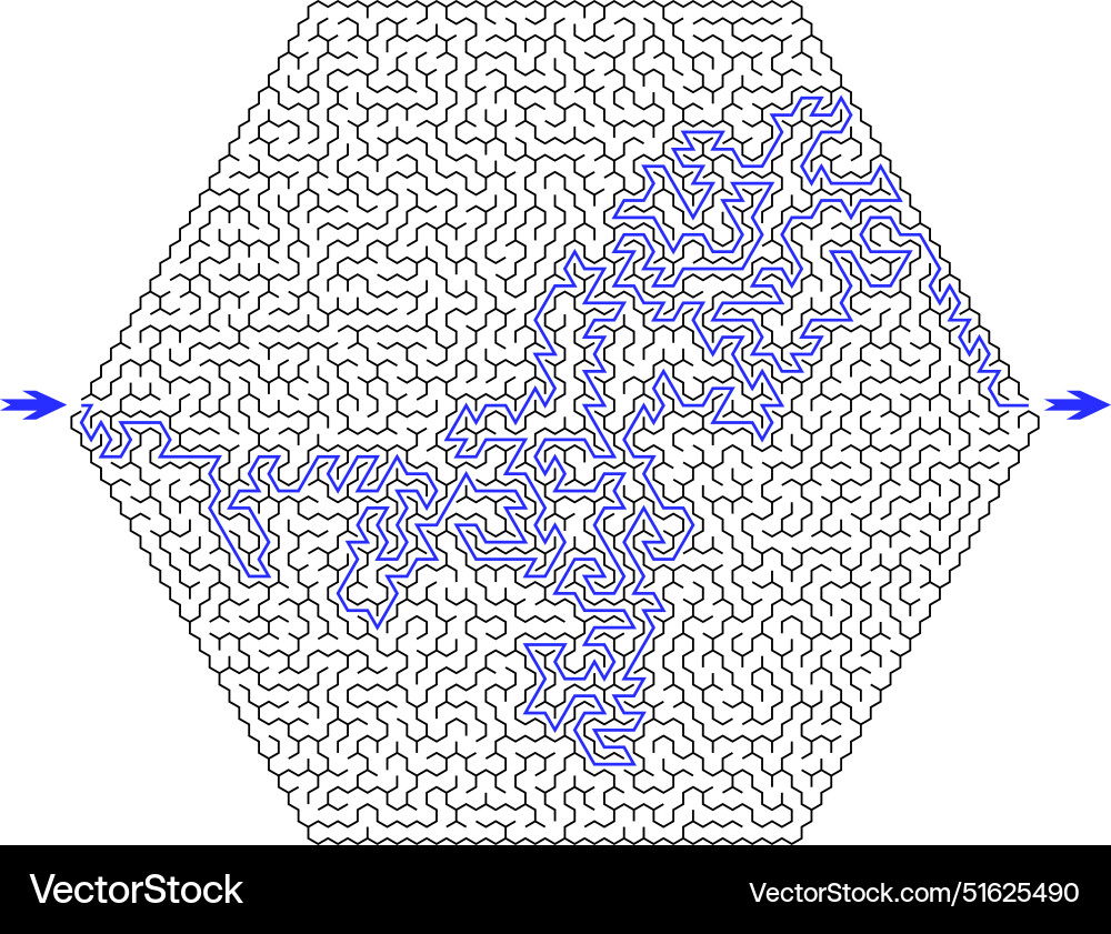Huge hexagonal labyrinth of high complexity Huge hexagonal labyrinth of high complexity vector image