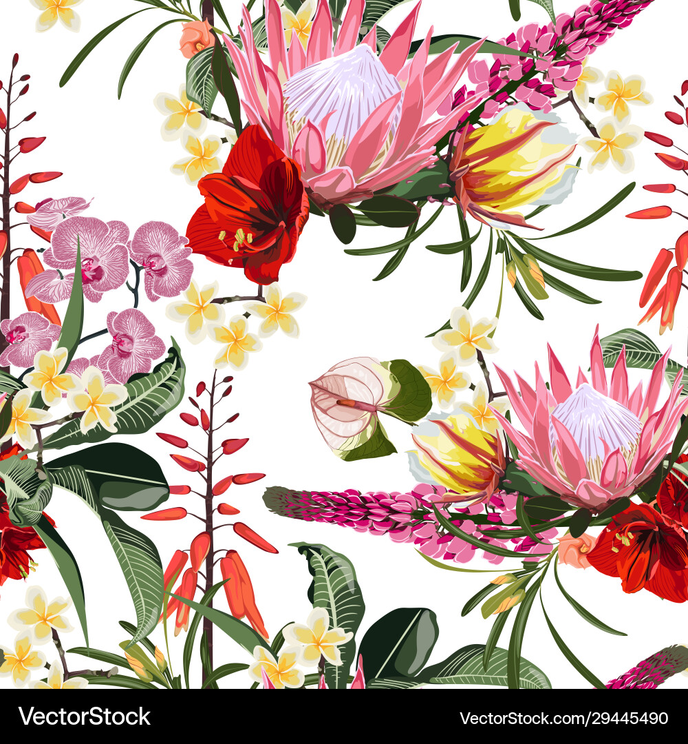 Many kinds exotic tropical flowers Many kinds exotic tropical flowers vector image