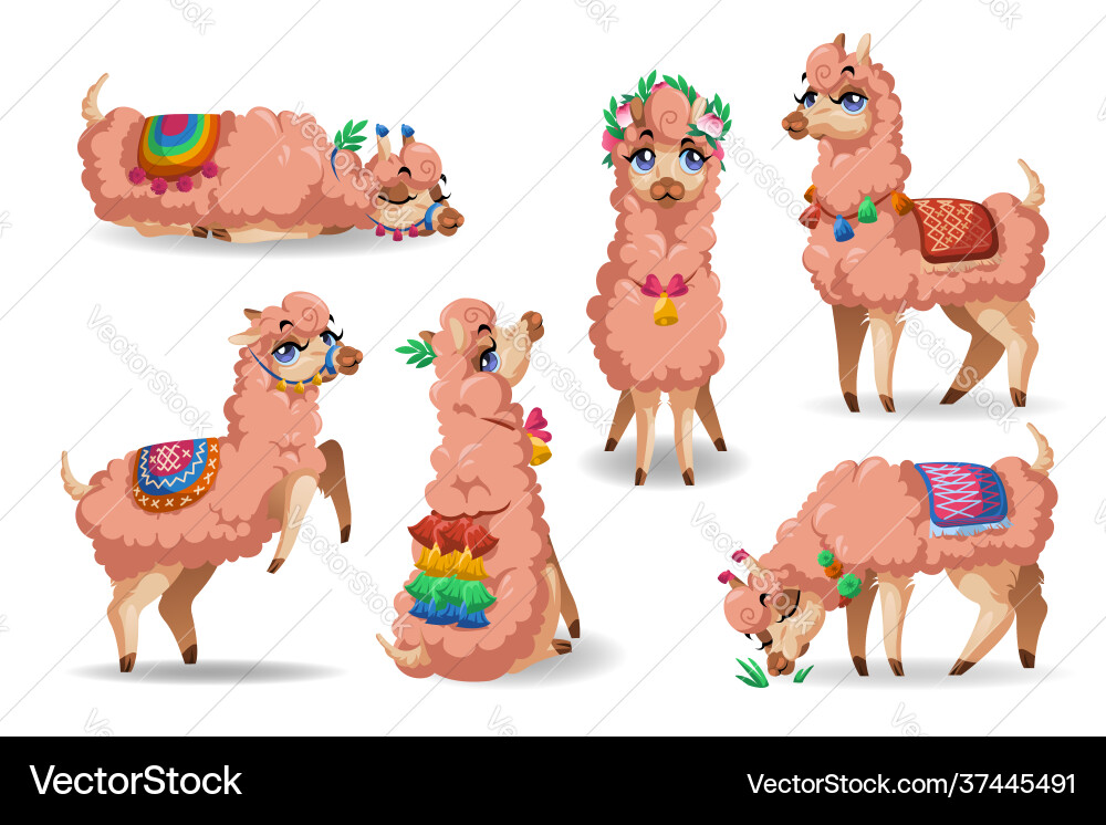 Cute llama character in different poses vector image