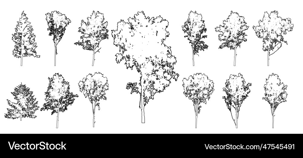 Set of forest trees for architecture Vector Image