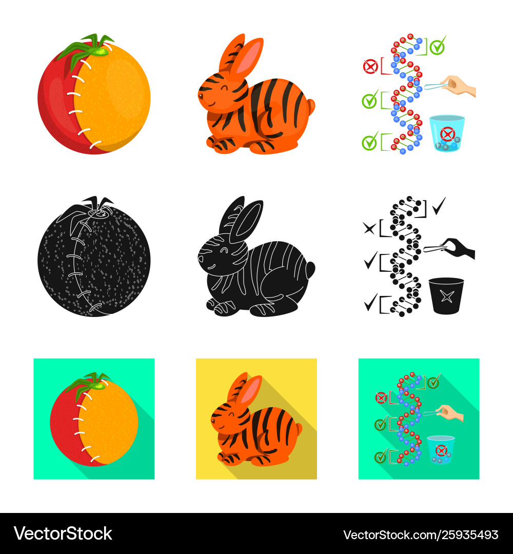 Isolated object test and synthetic sign Vector Image