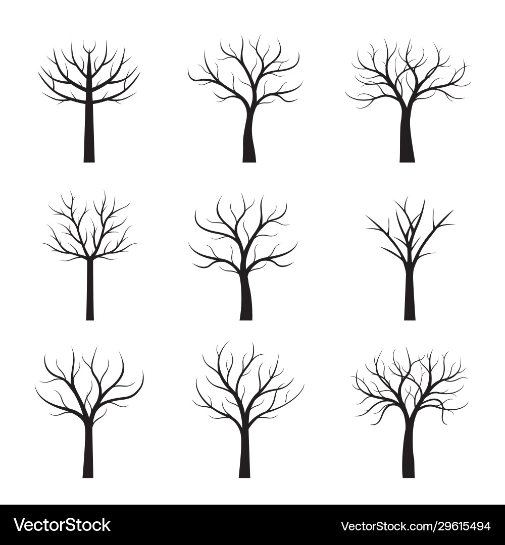 Black Tree Collection Royalty Free Vector Image