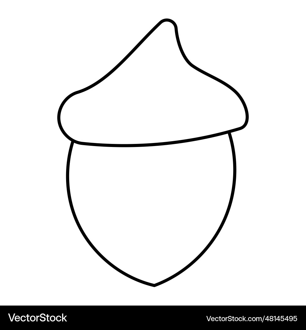 Acorn walnut forest tree pattern line icon Vector Image