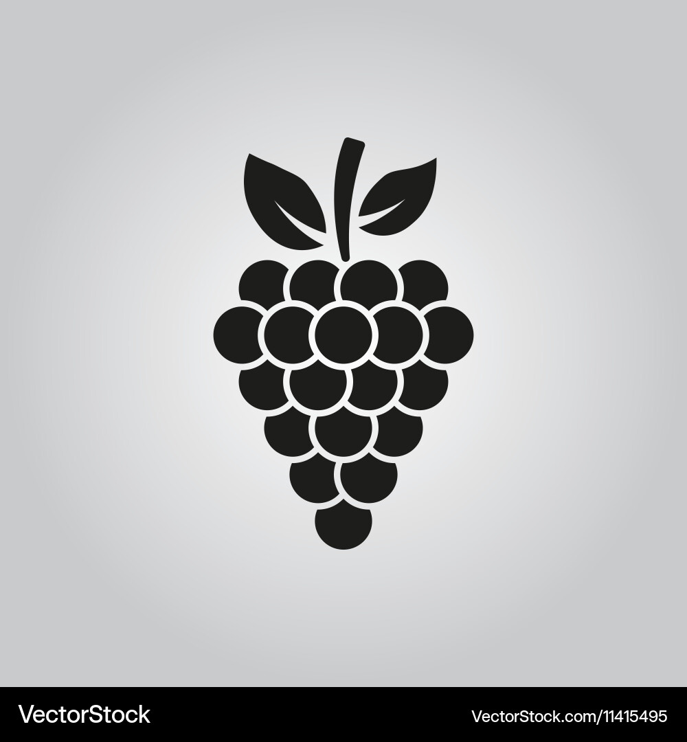 Grapes icon grape symbol ui web logo sign Vector Image