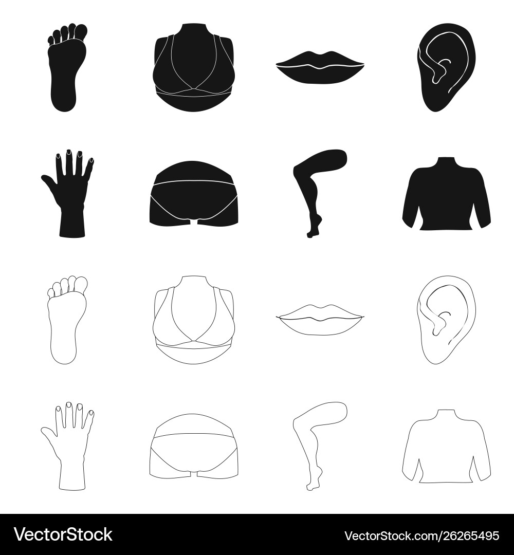 Isolated object body and part logo set Vector Image