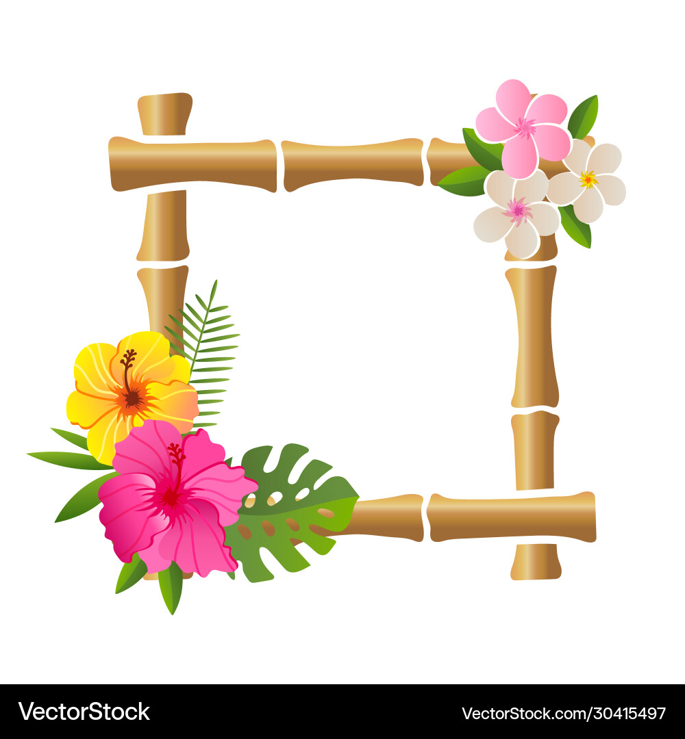 Tropical Bamboo Frame with Flowers vector image