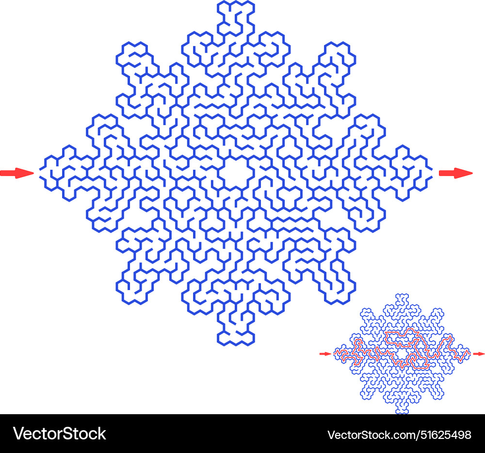 Snowflake Maze Puzzle Vector Image