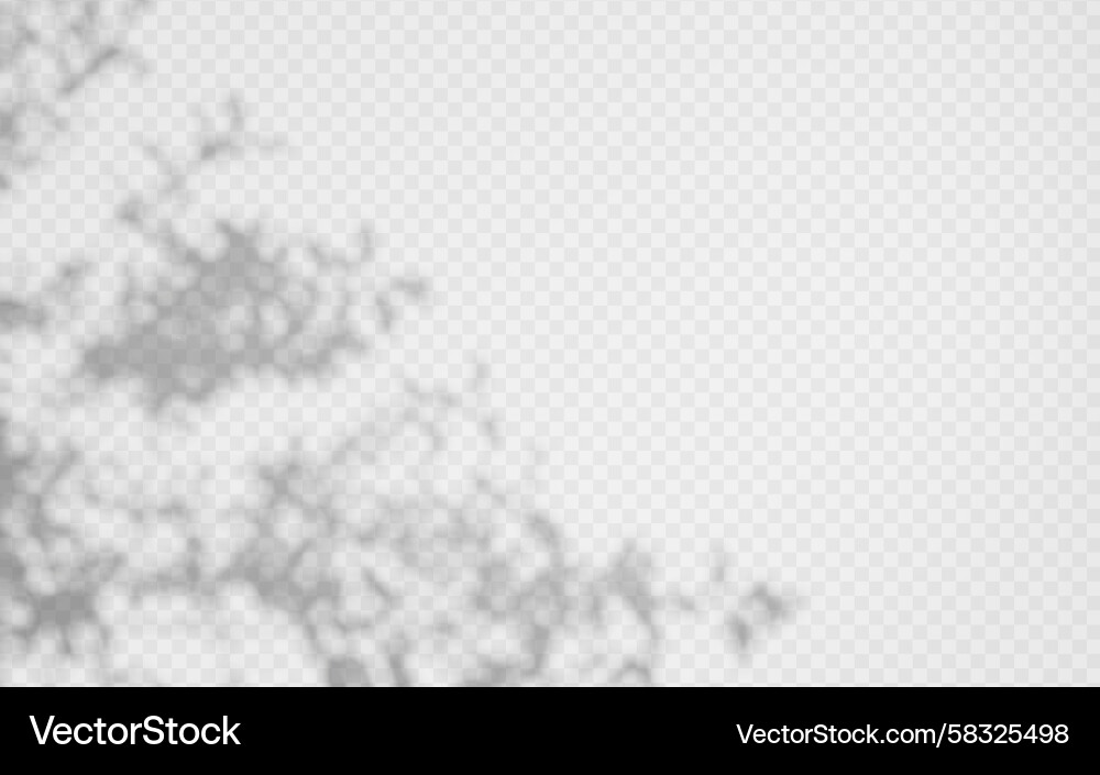 Tree Branch Shadow Overlay Vector Image