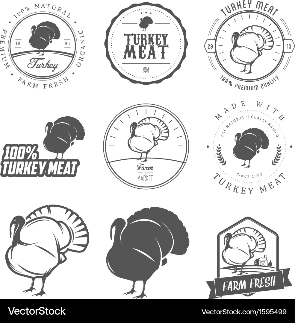 Premium Turkey Labels & Stamps Collection Vector Image