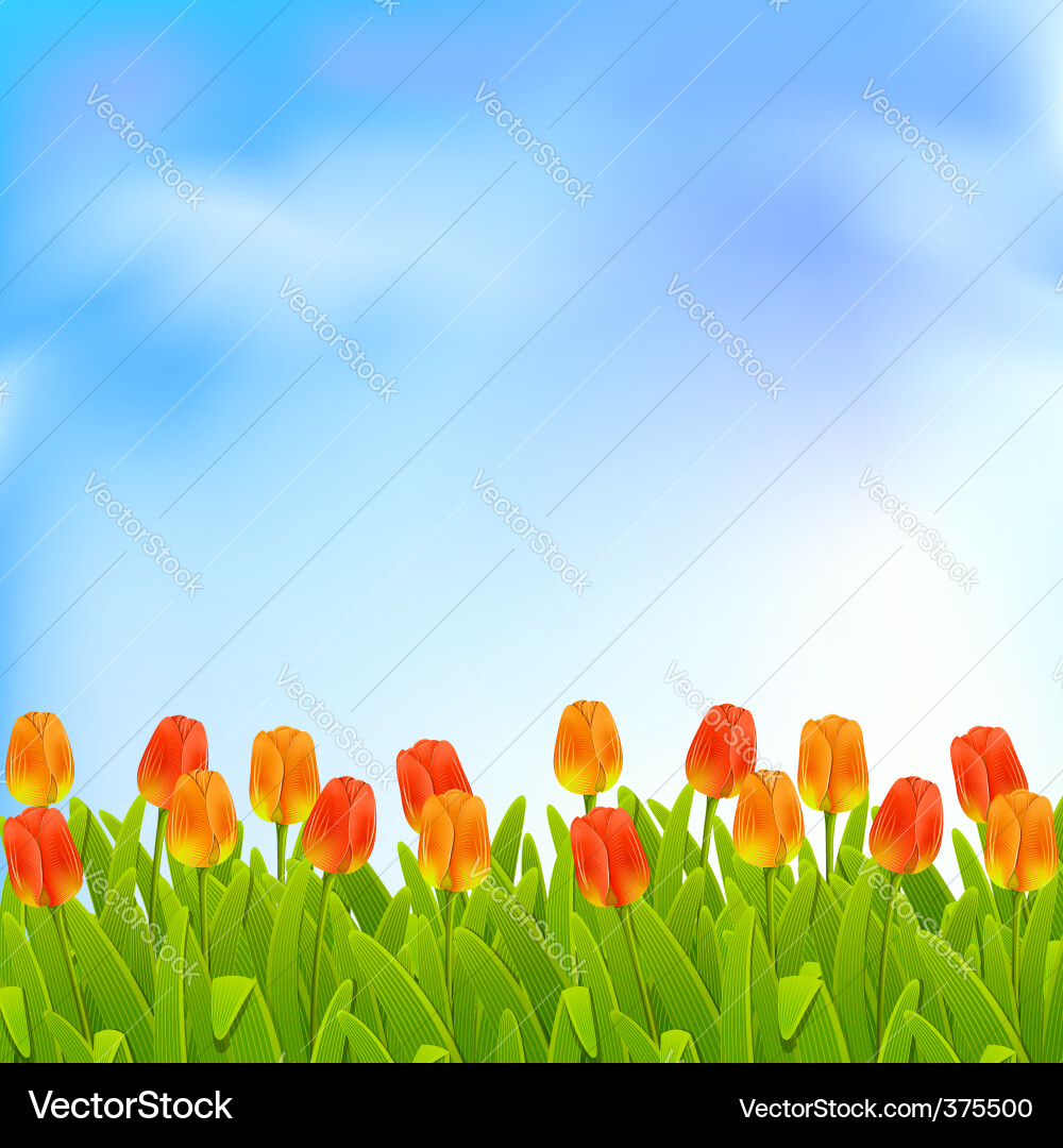 Spring background Vector Image
