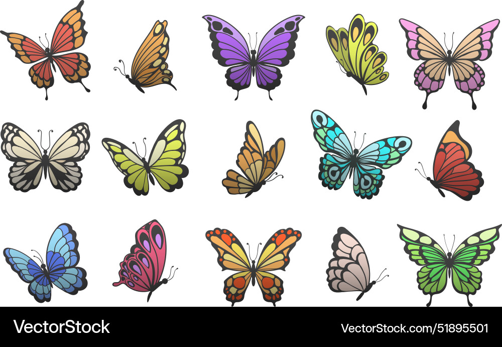 Colorful Butterfly Set vector image