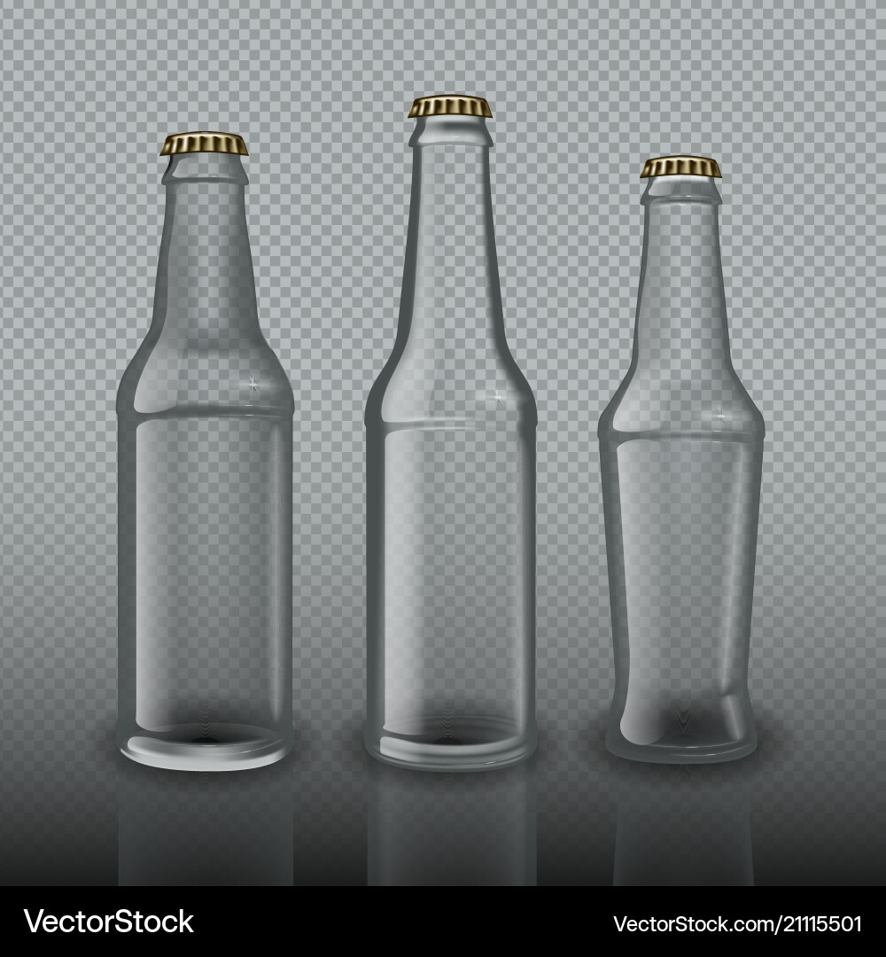Empty Beer Bottles on Transparent Background vector image