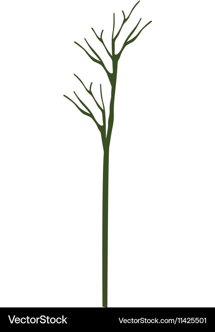Silhouette with tree branch no leafs vector image