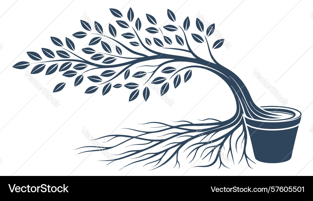 Spreading tree branch from pot design generative Vector Image