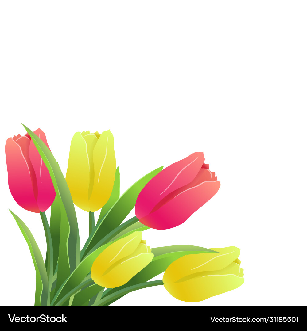 Tulips simless pattern card-01 Tulips simless pattern card-01 Vector Image