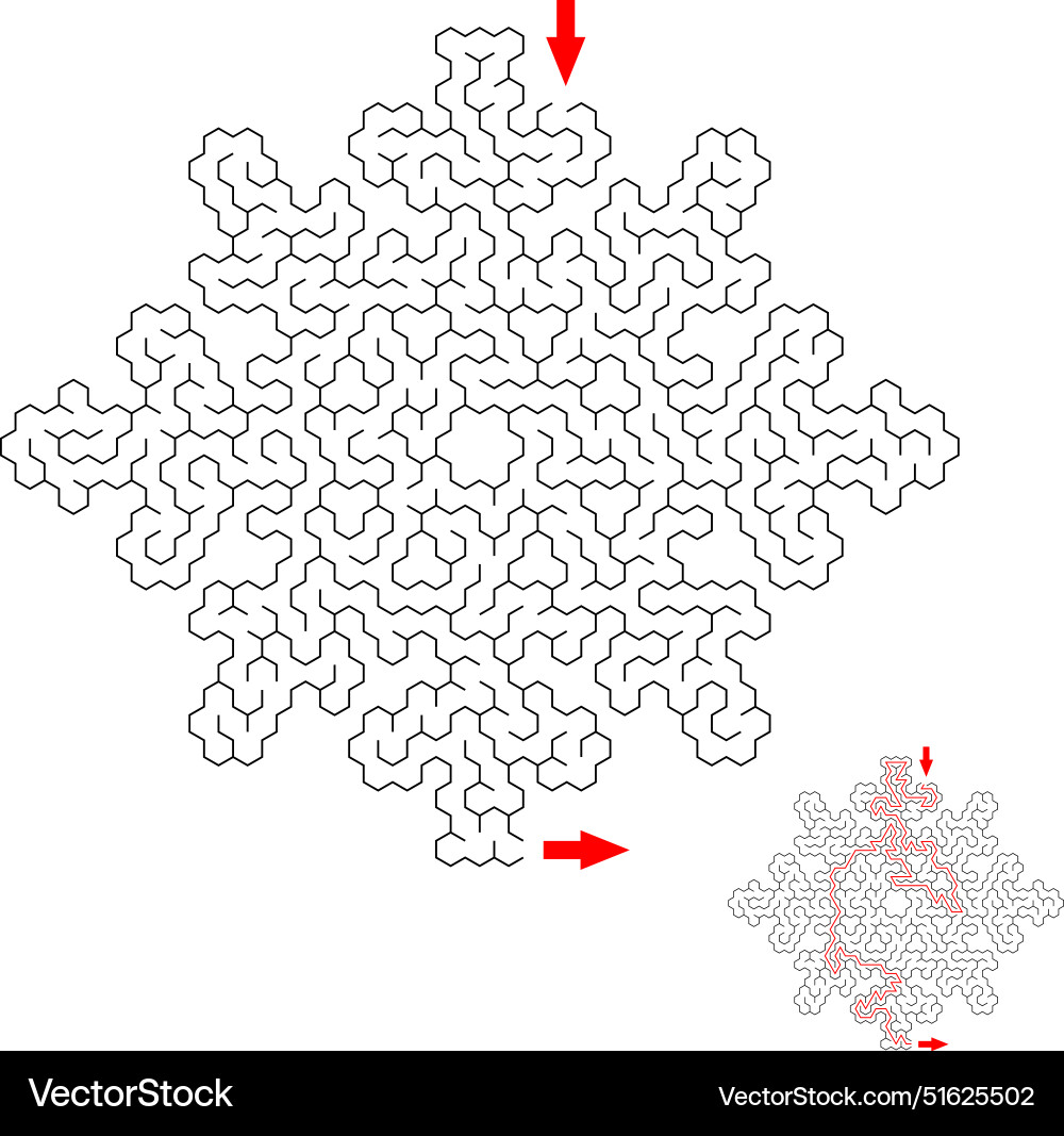 Find the way through lthe snowflake labyrinth Find the way through lthe snowflake labyrinth vector image