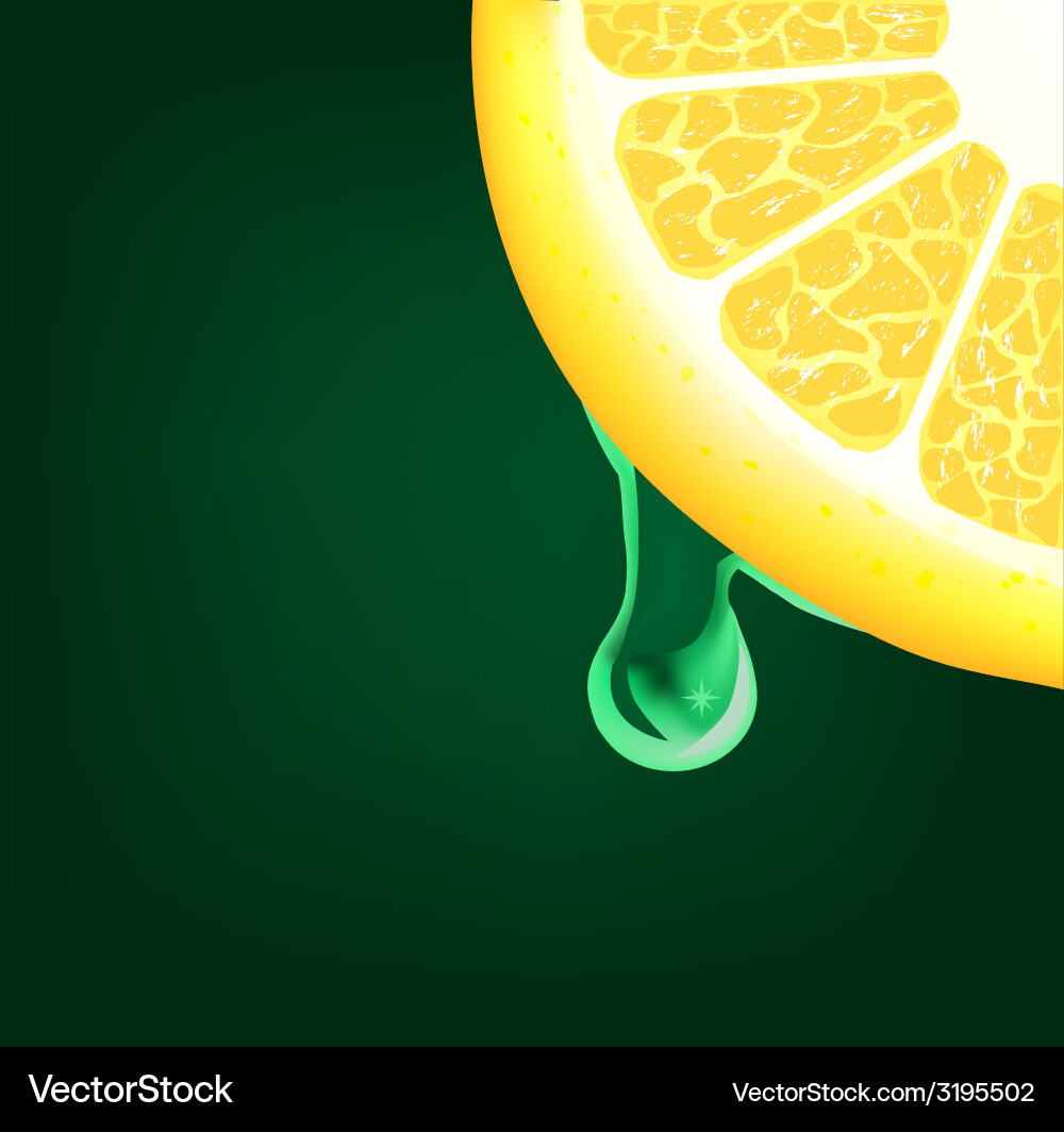 Lemon Segment with Droplet vector image