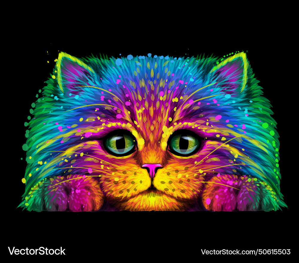 Cat abstract multicolored portrait Vector Image