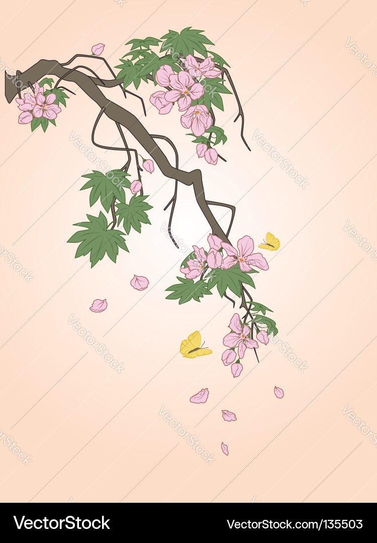Flowering Branch with Butterflies Vector Image