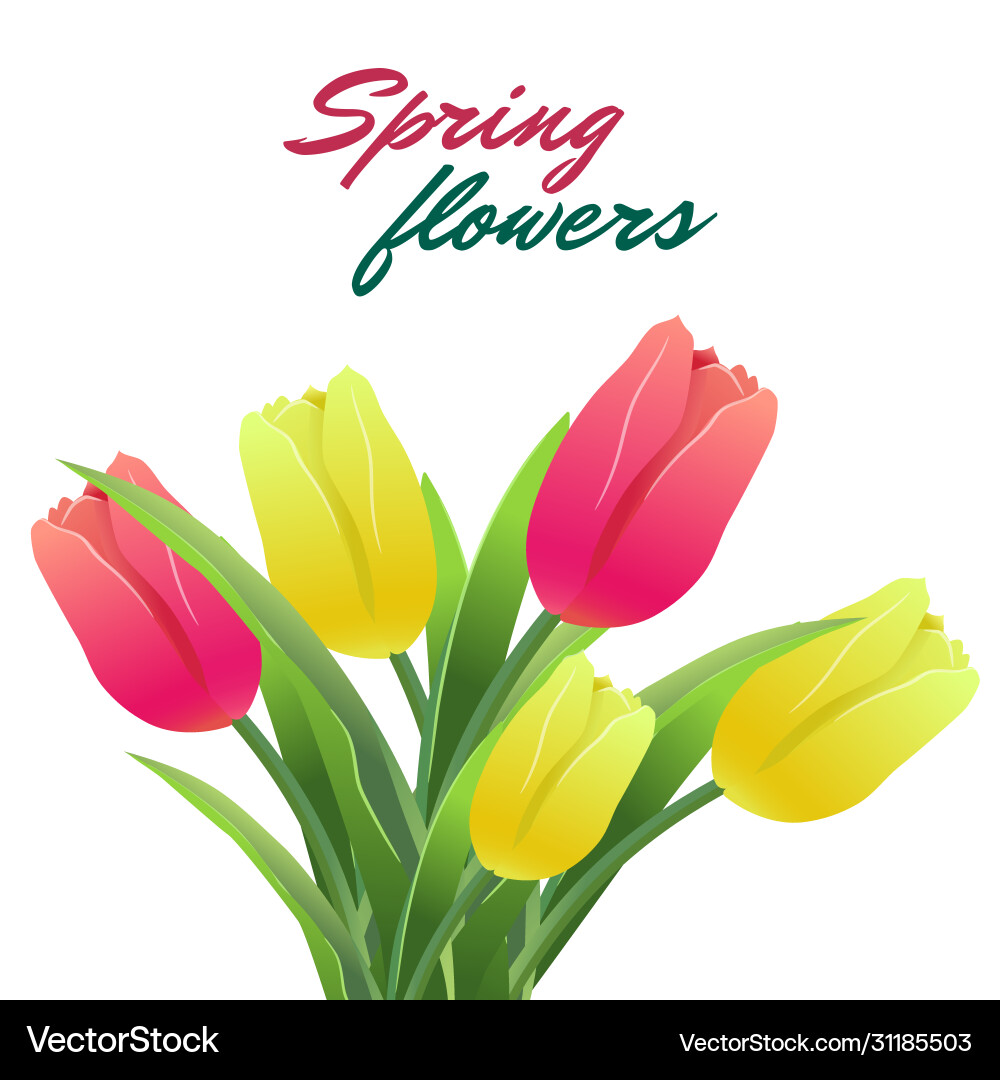 Tulips simless pattern card3-01 Tulips simless pattern card3-01 Vector Image