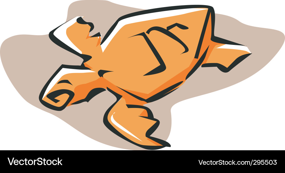 Turtle Vector Image
