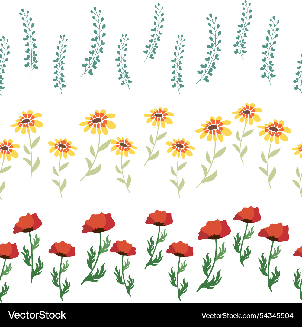 Chamomile horizontal border seamless pattern Vector Image