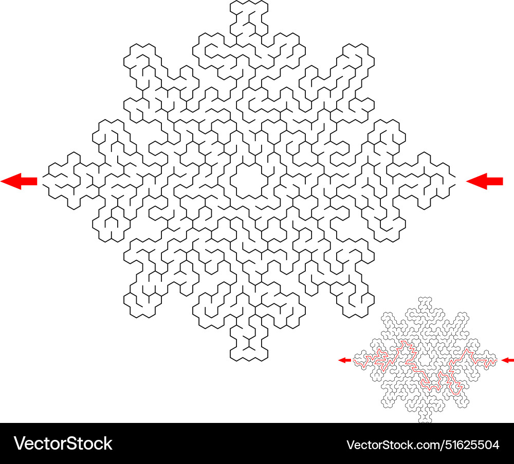 Find the way through lthe snowflake labyrinth Find the way through lthe snowflake labyrinth vector image