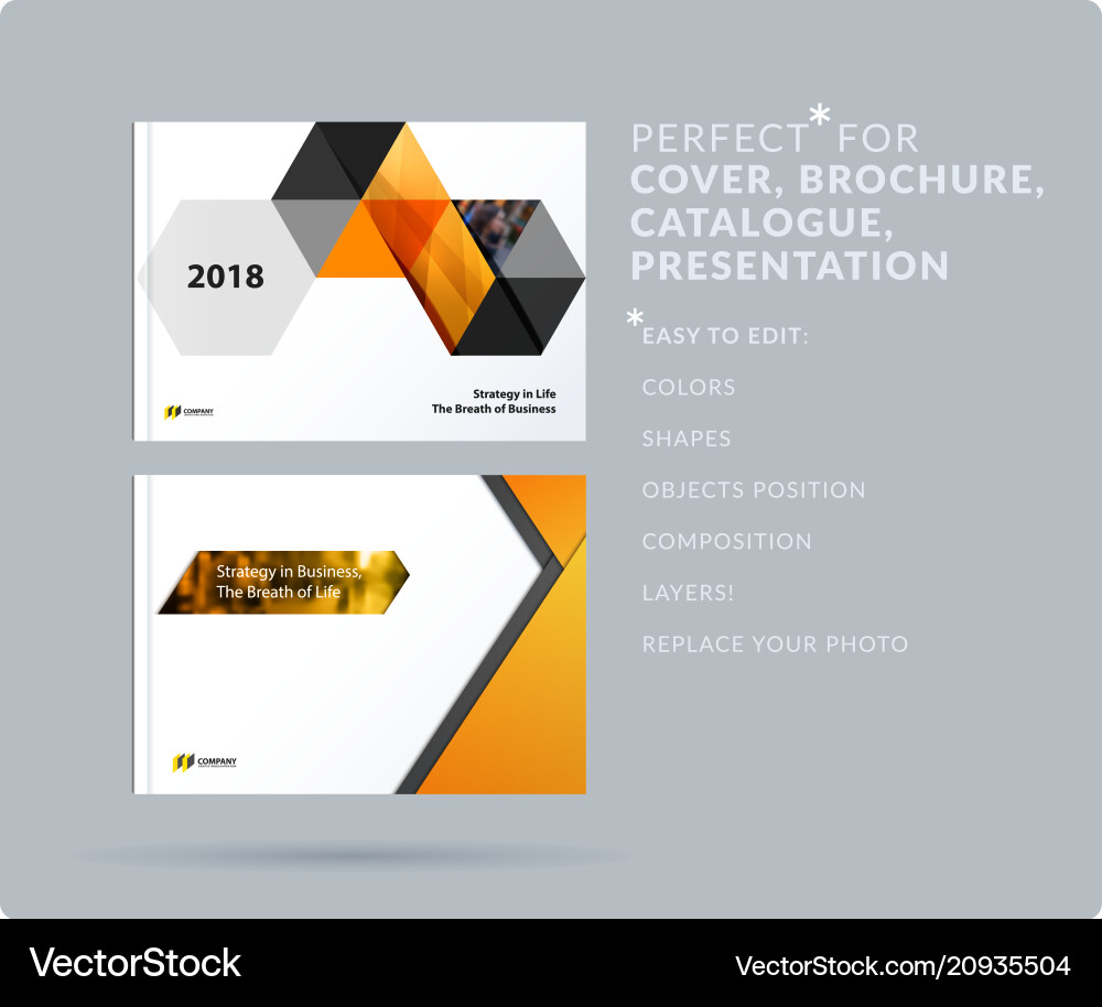 Triangular Presentation Template Vector Image